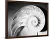 Cross Section of Nautilus Shell-Philip Gendreau-Framed Photographic Print