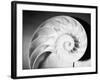 Cross Section of Nautilus Shell-Philip Gendreau-Framed Photographic Print