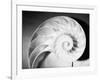 Cross Section of Nautilus Shell-Philip Gendreau-Framed Photographic Print