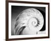 Cross Section of Nautilus Shell-Philip Gendreau-Framed Photographic Print