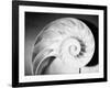 Cross Section of Nautilus Shell-Philip Gendreau-Framed Photographic Print