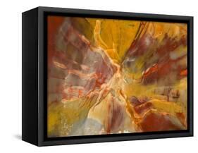 Cross-Section of Petrified Wood-Kevin Schafer-Framed Stretched Canvas