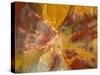 Cross-Section of Petrified Wood-Kevin Schafer-Stretched Canvas