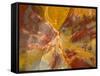 Cross-Section of Petrified Wood-Kevin Schafer-Framed Stretched Canvas
