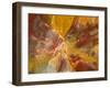 Cross-Section of Petrified Wood-Kevin Schafer-Framed Premium Photographic Print