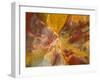 Cross-Section of Petrified Wood-Kevin Schafer-Framed Premium Photographic Print