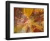 Cross-Section of Petrified Wood-Kevin Schafer-Framed Photographic Print