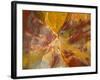 Cross-Section of Petrified Wood-Kevin Schafer-Framed Photographic Print