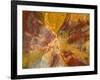 Cross-Section of Petrified Wood-Kevin Schafer-Framed Photographic Print