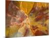 Cross-Section of Petrified Wood-Kevin Schafer-Mounted Photographic Print