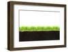 Cross-Section of Soil and Grass Isolated on White Background-viperagp-Framed Photographic Print