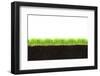 Cross-Section of Soil and Grass Isolated on White Background-viperagp-Framed Photographic Print