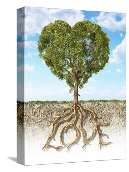 Stretched Canvas Print, , large