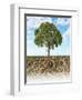 Cross Section of Soil Showing a Tree with its Roots-null-Framed Art Print