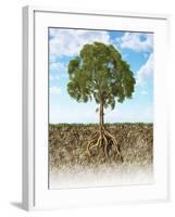 Cross Section of Soil Showing a Tree with its Roots-null-Framed Art Print
