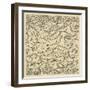 Cross-Section of Thallus (Vegetative Tissue), Collema Pulposum Lichen-null-Framed Giclee Print