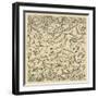 Cross-Section of Thallus (Vegetative Tissue), Collema Pulposum Lichen-null-Framed Giclee Print