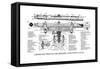 Cross-Section of the Berger 18 Inch Wye Level-null-Framed Stretched Canvas