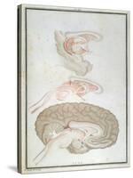 Cross-Section of the Brain, from 'Traite D'Anatomie Et De Physiologie' by Felix Vicq D'Azyr-Alexandre Briceau-Stretched Canvas
