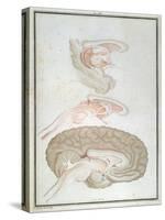 Cross-Section of the Brain, from 'Traite D'Anatomie Et De Physiologie' by Felix Vicq D'Azyr-Alexandre Briceau-Stretched Canvas
