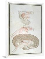 Cross-Section of the Brain, from 'Traite D'Anatomie Et De Physiologie' by Felix Vicq D'Azyr-Alexandre Briceau-Framed Giclee Print