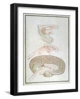 Cross-Section of the Brain, from 'Traite D'Anatomie Et De Physiologie' by Felix Vicq D'Azyr-Alexandre Briceau-Framed Giclee Print