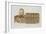 Cross-Section of the Palatine Chapel, Palermo, Sicily-French School-Framed Giclee Print