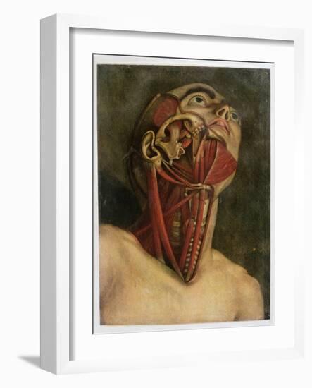 Cross-Section of the Right Hand Side of the Neck and Face, circa 1745-Jacques Fabien Gautier d'Agoty-Framed Giclee Print