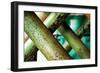 Cross Section-Dana Styber-Framed Photographic Print