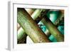 Cross Section-Dana Styber-Framed Photographic Print