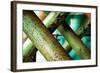 Cross Section-Dana Styber-Framed Photographic Print