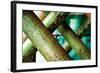 Cross Section-Dana Styber-Framed Photographic Print