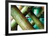 Cross Section-Dana Styber-Framed Photographic Print