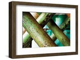 Cross Section-Dana Styber-Framed Photographic Print