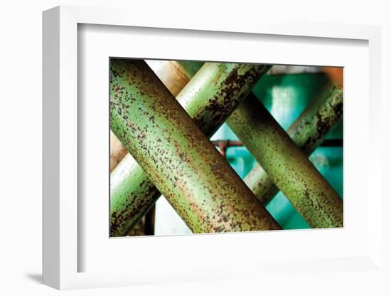 Cross Section-Dana Styber-Framed Photographic Print