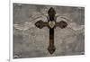 Cross with Wings-Brandon Glover-Framed Art Print