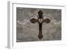 Cross with Wings-Brandon Glover-Framed Art Print