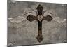 Cross with Wings-Brandon Glover-Mounted Art Print