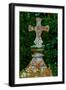 Cross-Andr? Burian-Framed Photographic Print