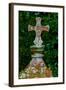 Cross-Andr? Burian-Framed Photographic Print