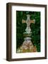 Cross-Andr? Burian-Framed Photographic Print