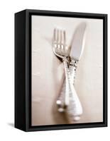 Crossed Fork and Knife-Douglas Johns-Framed Stretched Canvas