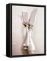 Crossed Fork and Knife-Douglas Johns-Framed Stretched Canvas