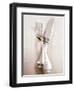 Crossed Fork and Knife-Douglas Johns-Framed Photographic Print