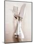 Crossed Fork and Knife-Douglas Johns-Mounted Photographic Print