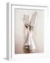 Crossed Fork and Knife-Douglas Johns-Framed Photographic Print