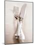 Crossed Fork and Knife-Douglas Johns-Mounted Photographic Print