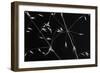 Crossed Lines-Olavo Azevedo-Framed Giclee Print