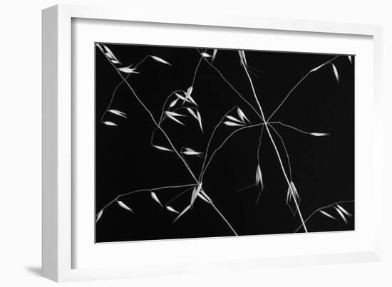 Crossed Lines-Olavo Azevedo-Framed Giclee Print