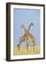 Crossed-Susann Parker-Framed Premium Photographic Print